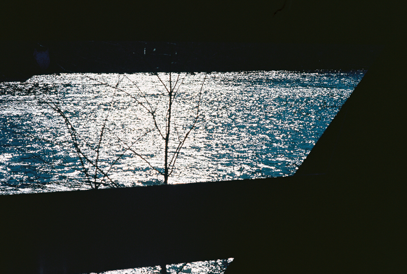 Illustration for article titled Film Dump